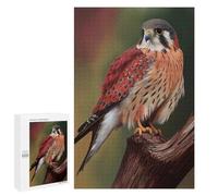 Rompecabezas 1000 PCS para Adolescentes American Kestrel Falcon Rompecabezas para Adultos Juego Práctico Arte De Pared Desafiante De Completar 1000 PCS