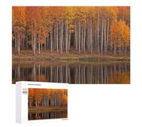 Rompecabezas 1000 PCS para Adolescentes Autumn Aspen Trees Reflected in Lake Rompecabezas para Adultos Juegos Relajantes Decoración del Hogar Cumpleaños Y Navidad 1000 PCS