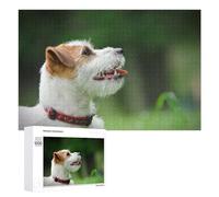 Rompecabezas 1000 PCS para Adolescentes Jack Russell Terrier Rompecabezas para Adultos Juegos Relajantes Decoración del Hogar Cumpleaños Y Navidad 1000 PCS