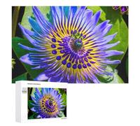 Rompecabezas 1000 PCS para Adolescentes Passion Flower Bloom Rompecabezas para Adolescentes Juegos Divertidos Ensamblaje De Patrones Ayuda Al Cerebro A Ejercitarse 1000 PCS