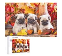 Rompecabezas 1000 PCS para Adolescentes Pug Puppies in Autumn Setting Rompecabezas para Adultos Juego De Ingenio Análisis Y Lógica 1000 PCS