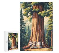 Rompecabezas 1000 PCS para Adolescentes Sequoia National Park Rompecabezas para Adultos Juego Práctico Arte De Pared Desafiante De Completar 1000 PCS
