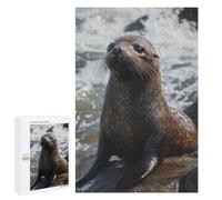 Rompecabezas 1000 PCS Sea Lion on Rocks Rompecabezas Juguetes Antiestrés Pero Divertidos Y Humorísticos Oferta como Regalos para Toda La Familia 1000 PCS