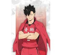 Rompecabezas 1000 Piezas - Japanese Animes Haikyuu Póster - para Niños Juguete Rompecabezas Personalizado Adulto - Rompecabezass para Adults Teenagers Wn227Zk