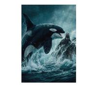 Rompecabezas 1000pcs(38x26cm) para Adultos Orca and Seal in Ocean Rompecabezas Práctico para Adultos Juego Difícil Único Regalos De Cumpleaños 1000pcs(38x26cm)