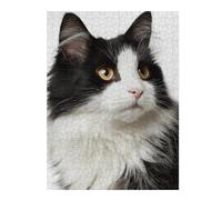 Rompecabezas 1000pcs(52x38cm) para Adolescentes Black & White Fluffy Cat-1 Rompecabezas para Adultos Juego Práctico Corte De Precisión 1000pcs(52x38cm)
