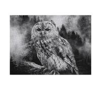 Rompecabezas 1000pcs(52x38cm) para Adolescentes Owl Black&White Rompecabezas para Adultos Juguetes Antiestrés Mejora La Memoria 1000pcs(52x38cm)