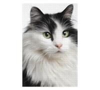 Rompecabezas 1000pcs(75x50cm) para Adolescentes Fluffy Black & White Cat Rompecabezas para Adolescentes Juegos Relajantes Aliviador del Estrés Reducción del Estrés Regalos 1000pcs(75x50cm)