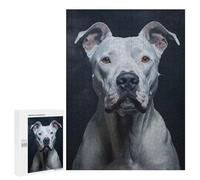 Rompecabezas 500 PCS para Adultos White Dogo Argentino Portrait Rompecabezas para Adultos Juegos Divertidos Análisis Y Lógica Cumpleaños 500 PCS