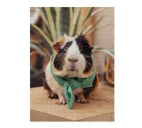 Rompecabezas 52x38cm/1000pcs para Adolescentes Cute Guinea Pig in Scarf Rompecabezas para Adultos Juegos Relajantes Desafío Difícil Gran Regalo para Jugar 52x38cm/1000pcs