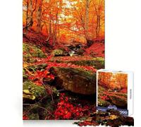 Rompecabezas Bosque Otoñal Arroyo 1000 Piezas para Adolescentes Creativo Pensamiento Fácil Diversión Bordes Precisos (50x75cm)