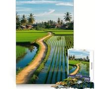 Rompecabezas Camino de Arrozales para Adultos 1000 Rompecabezas Fortalecen la Memoria Alivian la Ansiedad Bordes Lisos Sorpresa Cálida (38x52cm)