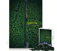 Rompecabezas Camino del Santuario Verde de 1000 Piezas para Adultos Mejora la Memoria Un pasatiempo Tranquilo Corte preciso Un Regalo Original (38x52cm)