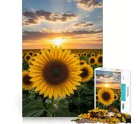 Rompecabezas Campo de Girasoles al Atardecer, 1000 Piezas, para Adolescentes, Juguete Educativo, Divertido y fácil de Usar, 50x75cm