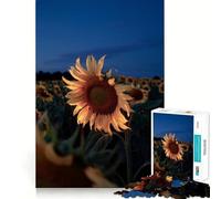 Rompecabezas Campo de Girasoles al Atardecer para Adultos, 1000 Piezas, Juguete de lógica Afilada, Divertido, de Corte preciso, Regalo Memorable 38x52cm