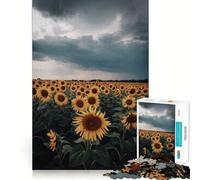 Rompecabezas Campo de Girasoles bajo un Cielo tormentoso, 1000 Piezas para Adolescentes, Juguete Inteligente, pasatiempo en casa, Corte preciso, Regalo Original 50x75cm