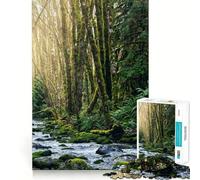Rompecabezas Cascada en Port Alberni 1000 Piezas Juego Think Boost Cierre hermético Sin Piezas Sueltas Desafío Interactivo para el Cerebro en casa (38x52cm)