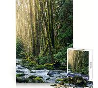 Rompecabezas Cascada en Port Alberni, 1000 Piezas para Adultos Estimula la Mente, relaja y Divierte Bordes Uniformes Regalo Ideal (38x26cm)