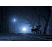 Rompecabezas clásico de 8000 Piezas para Adultos: Escena de Parque. Creativo, cognitivo, Educativo y Decorativo (14 años+)