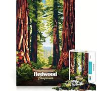 Rompecabezas con ilustración de Bosque de secuoyas de California para Adultos, 1000 Piezas, para Fortalecer la Memoria, Divertido y Casual, de Calidad, con Bordes Elegantes, Regalo (50x75cm)