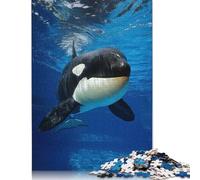 Rompecabezas Cuadrado Creativo de 1000 Piezas con Retrato de Orca submarina para Adultos y Rompecabezas de Papel, Juego Intelectual de 38 x 26 cm (1000 Piezas)
