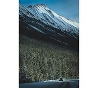 Rompecabezas de 100 piezas (45,5 x 35,5 cm) para adultos, picos nevados y camino de nieve del bosque: viaje solitario en invierno desierto natural