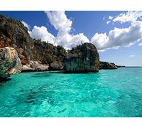 Rompecabezas de 1000 pedazos,Playa salvaje de República Dominicana para niños y adultos Juego de juguete de madera educativo