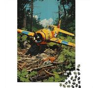 Rompecabezas De 1000 Piezas - Abandoned Jungle Plane Wreckage Rompecabezas para Adultos Juguetes De Bricolaje Oferta De Decoración Perfecta como Regalos para Toda La Familia 38x26cm/1000pcs