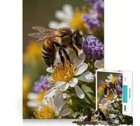 Rompecabezas de 1000 Piezas Abeja sobre Flor Blanca,Borde, Juego Inteligente,desafío,diversión,Juego Lento,diversión,Regalo de cumpleaños (38x52cm)