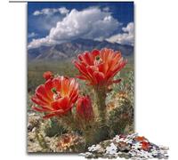 Rompecabezas de 1000 Piezas Amapola de Las Tierras Altas para Adultos Juego Interactivo Familiar de 1000 Piezas, decoración del hogar DIY, Regalo desafiante y Estimulante (tamaño 26x38cm)