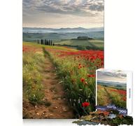 Rompecabezas de 1000 Piezas Amapolas Rojas de la Toscana para Adolescentes Juguete Intelectual para la relajación Mental Corte de Calidad Regalo Ideal para Las Fiestas (50x75cm)