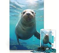 Rompecabezas de 1000 Piezas Amigo del León Marino para Adultos Juguete para ejercitar la Mente Diseño Casual y Relajante Colección de Piezas de Arte para armar (38x52cm)