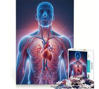 Rompecabezas de 1000 Piezas: Anatomía del corazón Humano, Juguetes antiestrés para la diversión Familiar, con Piezas de Formas aleatorias Que encajan Perfectamente 38x26cm
