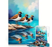 Rompecabezas de 1000 Piezas Aves costeras reunidas para Adultos y Adolescentes Mejora la Memoria Ligero y Relajante Corte preciso Un Regalo Encantador 38x52cm