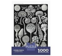 Rompecabezas De 1000 Piezas - Black and White Mushrooms Rompecabezas para Adultos Juego De Ingenio Desafío Difícil Regalos para Reducir El Estrés 38x26cm/1000pcs