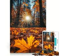 Rompecabezas de 1000 Piezas Bosque de otoño Luz Solar Diversión precisa para unir Piezas Diversión cognitiva Juego de Ritmo Lento Diversión Cumpleaños Arte Juego (38x26cm)
