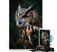 Rompecabezas de 1000 Piezas Búho en la Naturaleza para Adolescentes Juguete de lógica y suavidad para Relajarse Corte preciso Regalo Ideal (38x52cm)