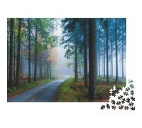 Rompecabezas de 1000 Piezas Camino en el Bosque brumoso con luz matutina. Juegos educativos para Adultos. Hermosa decoración. Difícil. Regalos de cumpleaños desafiantes. 38 x 26 cm / 1000 Piezas.