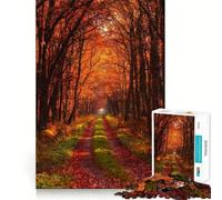 Rompecabezas de 1000 Piezas Camino en el Bosque otoñal en un Entorno cálido y con Corte preciso Arte para ejercitar la Mente Regalo Ideal para el Tiempo Libre Diversión navideña Decoración de Pared