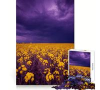 Rompecabezas de 1000 Piezas Campo de Flores Amarillas bajo Cielo tormentoso para Adolescentes Ideal para Entrenar la Mente y Practicar la evasión Consciente Bordes definidos Regalo de Temporada