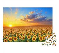 Rompecabezas de 1000 Piezas Campo de Girasoles al Atardecer - Panorama de Campo de Girasoles al Atardecer - Juego Educativo para Adultos - Decoración del hogar - Regalos de cumpleaños - 70x50cm