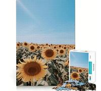 Rompecabezas de 1000 Piezas Campo de Girasoles bajo un Cielo Azul para Adultos Juguete de lógica Mental Alivia la tensión Corte Firme 38x52cm