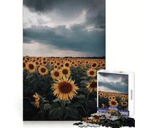 Rompecabezas de 1000 Piezas Campo de Girasoles bajo un Cielo tormentoso para Adultos Juguete de lógica Pura Diversión Relajante Corte preciso Regalo increíble 38x52cm