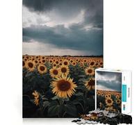 Rompecabezas de 1000 Piezas Campo de Girasoles bajo un Cielo tormentoso para Adultos Juguete de lógica Pura Diversión Relajante Corte preciso Regalo increíble 38x52cm