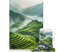 Rompecabezas de 1000 Piezas Campos de arroz a la luz de la mañana para Adolescentes Ideal para Mejorar la Memoria, Relajarse y Disfrutar de un Corte Firme Regalo Festivo (50x75cm)