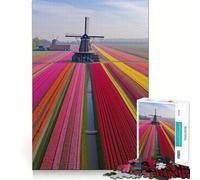 Rompecabezas de 1000 Piezas Campos de Tulipanes de los Países Bajos para Adultos Fortalece la Memoria, relájate y Disfruta del Momento Regalo de cumpleaños (38x26cm)