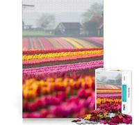 Rompecabezas de 1000 Piezas Campos de Tulipanes de los Países Bajos para Adultos Juguete para ejercitar la Mente Arte Relajante Regalo Ideal para Festivales (38x26cm)