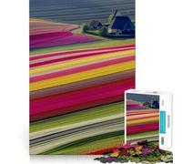 Rompecabezas de 1000 Piezas Campos de Tulipanes de los Países Bajos para Adultos Rompecabezas Recall Upgrade Quiet Calm Clear Cut (50x75cm)