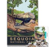 Rompecabezas de 1000 Piezas Car Under The Arch Rock para Adultos, Pasar el rato en casa Cada Pieza es única Un Juego Familiar desafiante y Divertido de 38x26cm