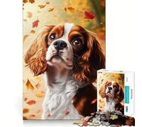 Rompecabezas de 1000 Piezas Cavalier King Charles Spaniel en otoño Arte Impecable Entrenamiento Mental Diversión Tiempo de Descanso Juego Tranquilo (38x26cm)